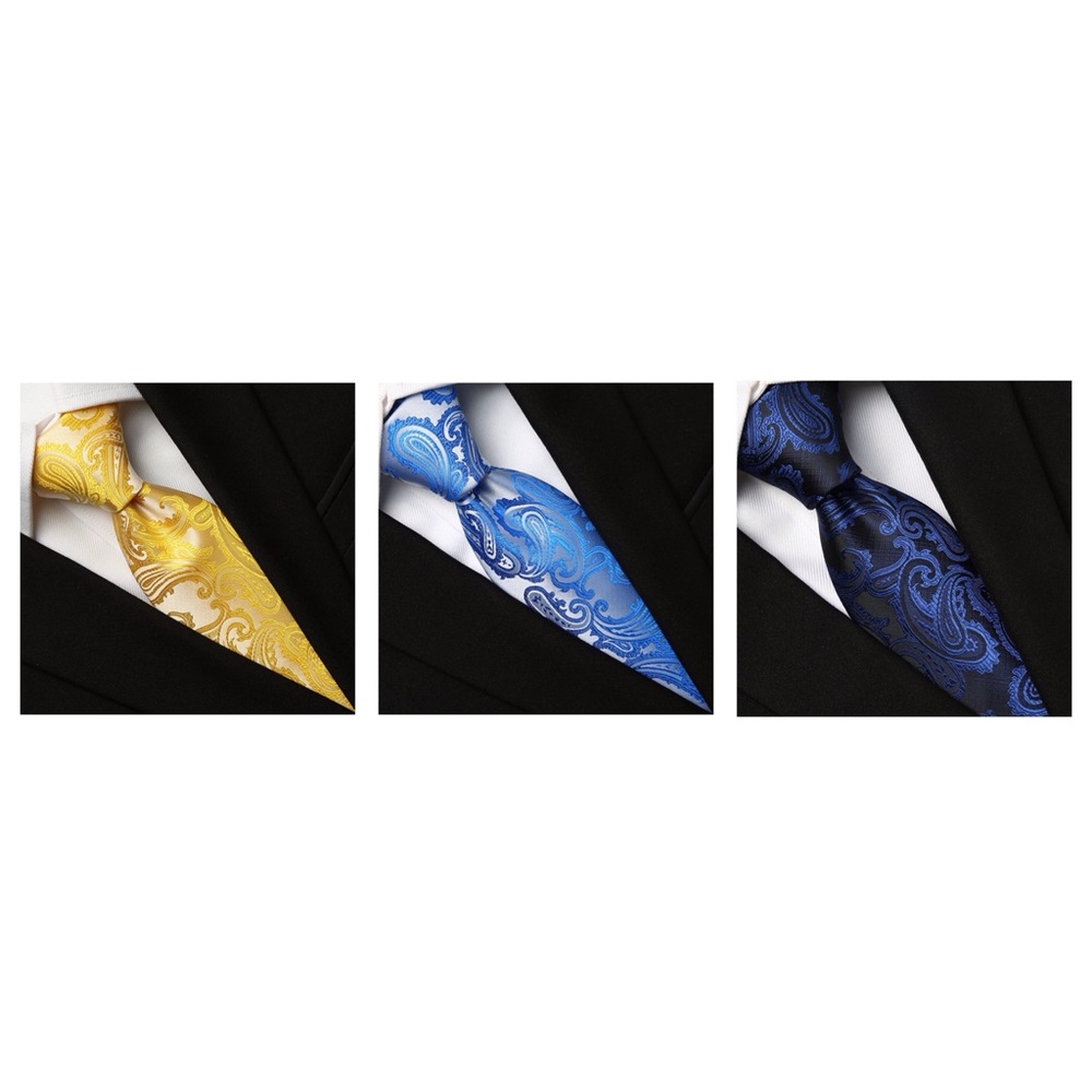 Mens Paisley Necktie Tie + Gift Box